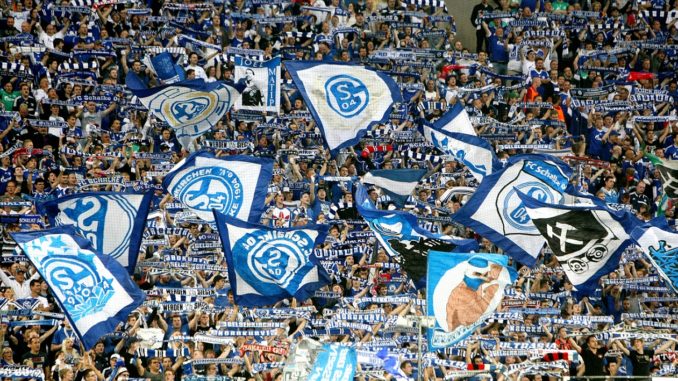 Schalke Schalke Fans