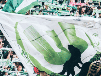 Fans Wolfsburg