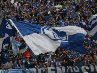 Fans von Schalke