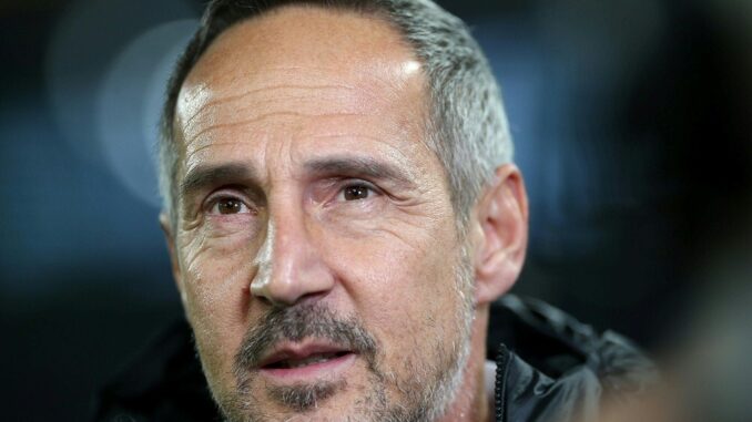 Adi Hütter glaubt an den Klassenerhalt der Eintracht. ©AFP
