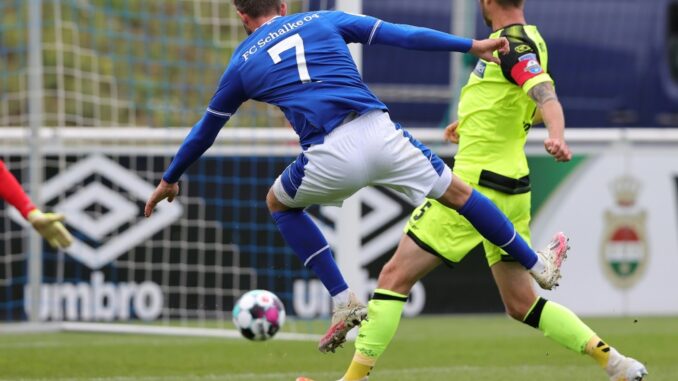 Schalke Gegen Paderborn Schalke Gegen Paderborn