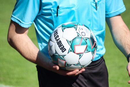 Schiedsrichter in der Bundesliga