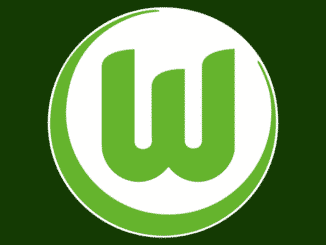 VfL Wolfsburg Logo in grün