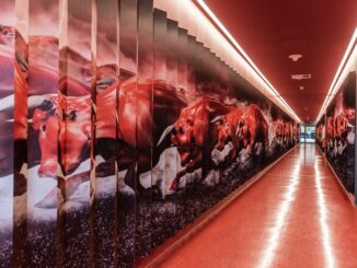 RB Leipzig Stadion und Spielertunnel