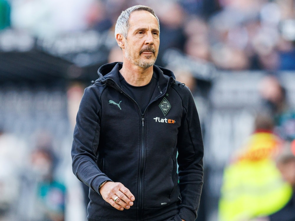 Adi Hütter verlässt die Borussia nach nur einer Saison (© FIRO/FIRO/SID/)