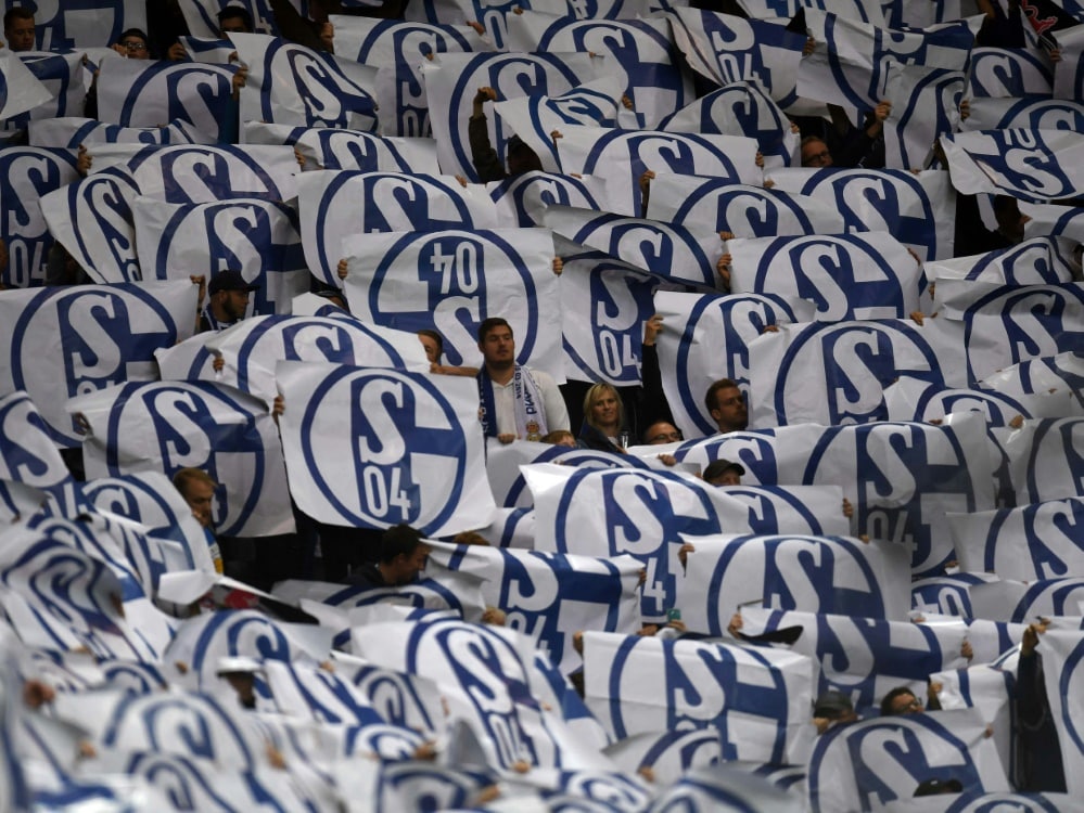 Der Klassenerhalt ist das große Ziel für Schalke (© AFP/SID/PATRIK STOLLARZ)