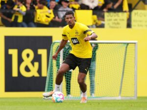 Haller will Titel mit dem BVB gewinnen