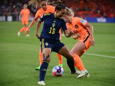 Niederlande gegen Schweden 1:1