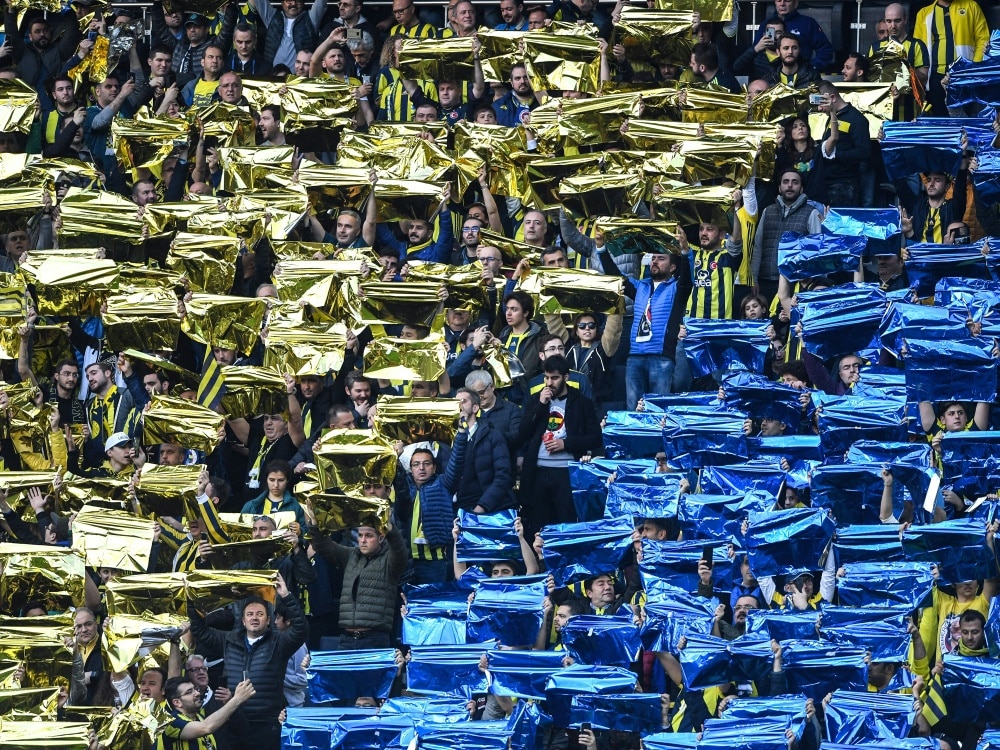 Die UEFA bestraft Fenerbahce (© AFP/SID/OZAN KOSE)