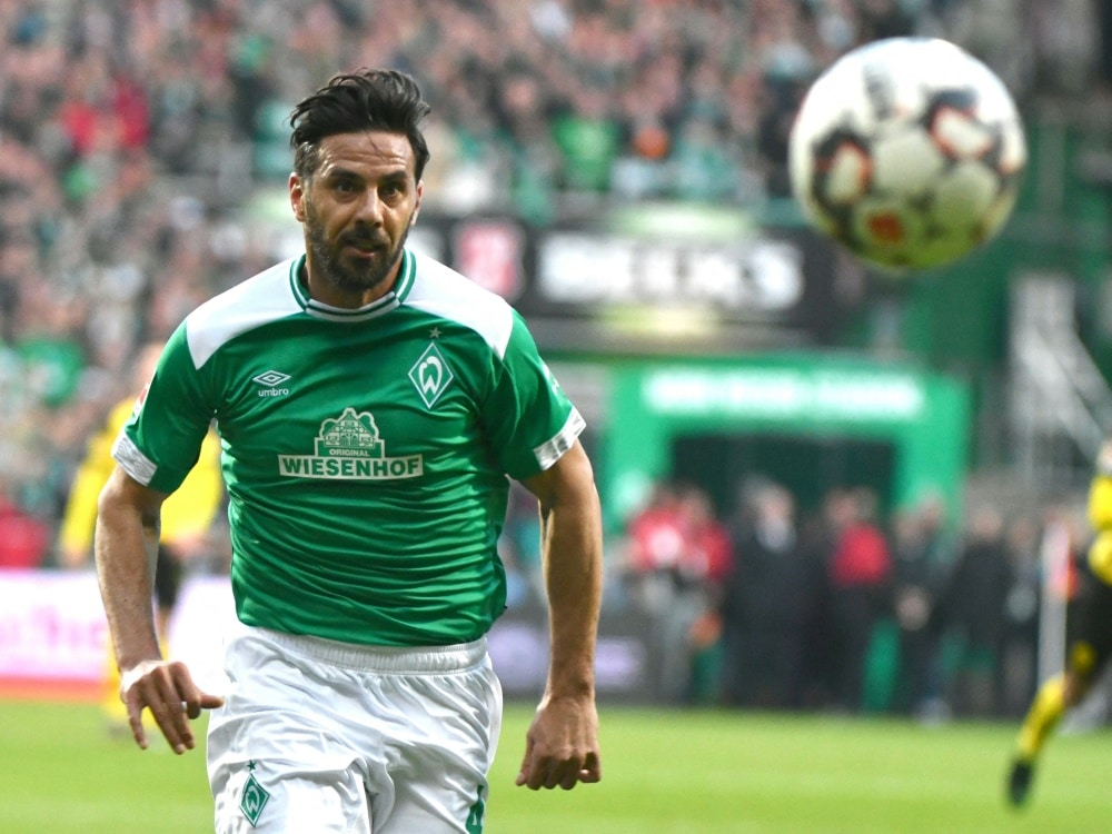 Pizarro freut sich schon auf sein Abschiedsspiel (© AFP/SID/PATRIK STOLLARZ)