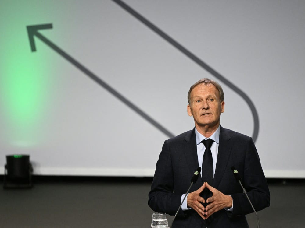 Watzke würdigt Bierhoff für dessen Arbeit beim DFB (© AFP/SID/INA FASSBENDER)