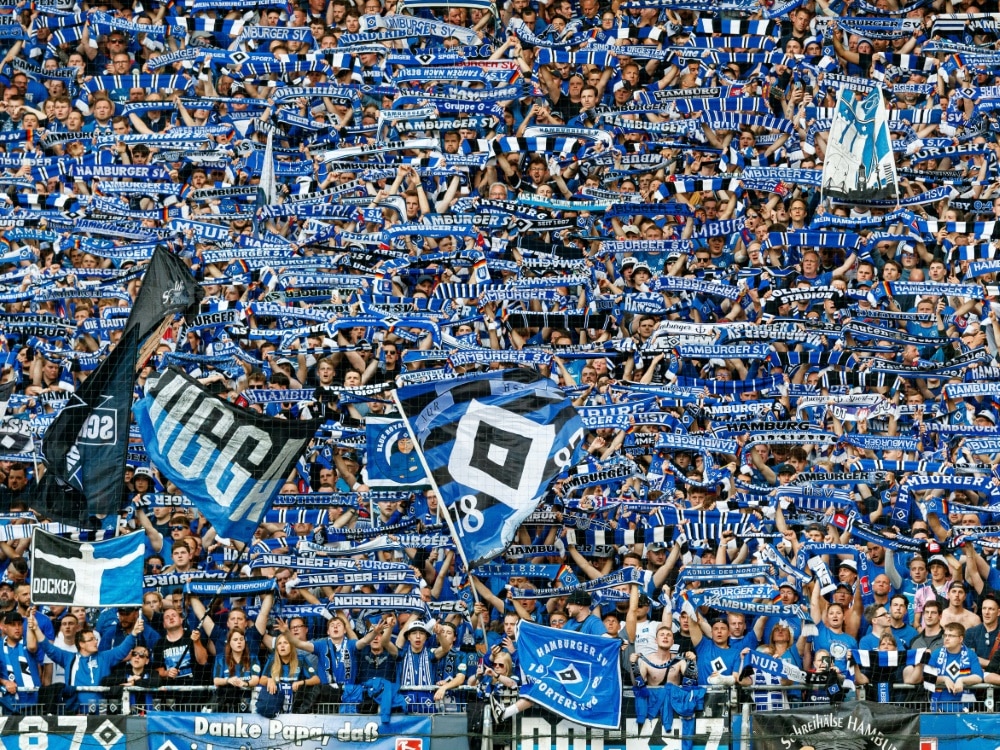 Fans glauben an HSV-Rückkehr in die Bundesliga (© FIRO/FIRO/SID/)