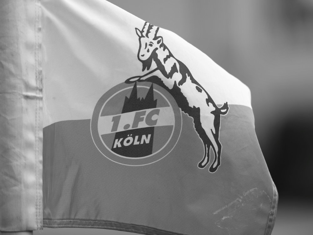 1. FC Köln trauert um Ex-Spieler Andreas Gielchen (© FIRO/FIRO/SID/)