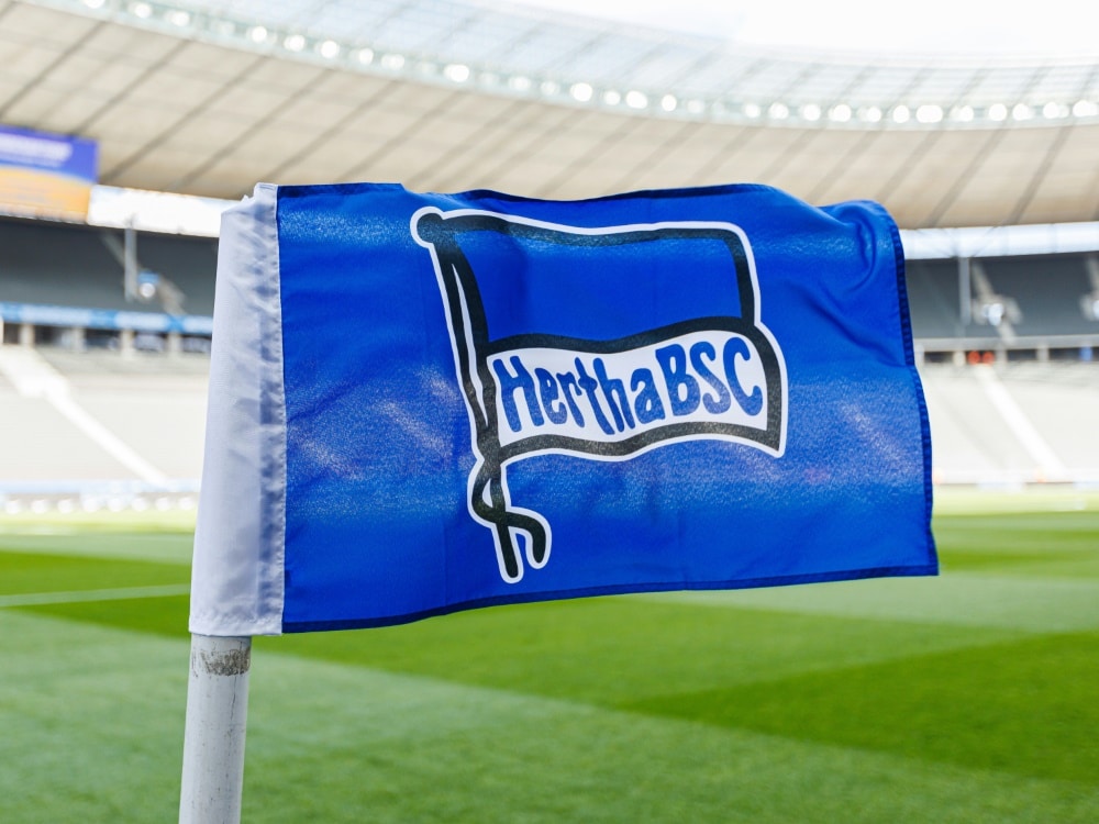 Bild: Hertha BSC gibt weitere Anteile an Investor ab (© FIRO/FIRO/SID/)