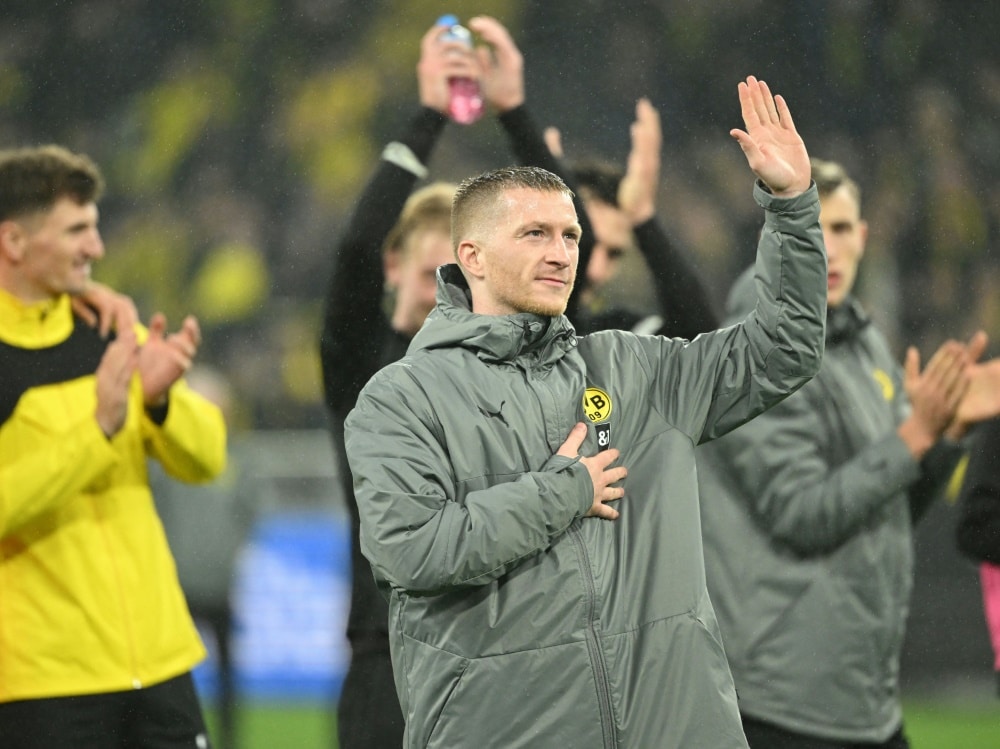 Bild: BVB-Urgestein Reus will Karriere in Dortmund beenden (© AFP/SID/INA FASSBENDER)