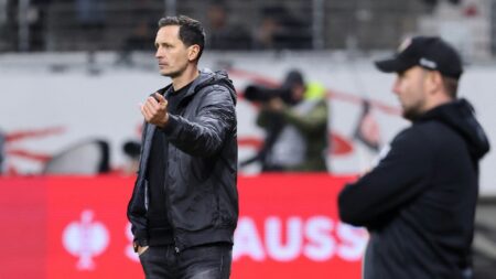 Toppmöller vermisste den Support der Kurve (© AFP/SID/DANIEL ROLAND)