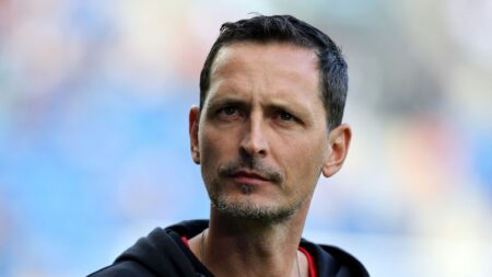 Dino Toppmöller, Trainer Eintracht Frankfurt