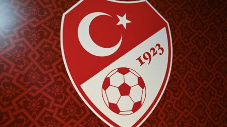 Bild: Logo des türkischen Fußballverbandes (© AFP/SID/OZAN KOSE)