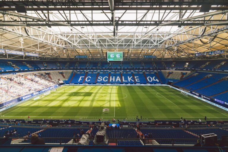 S04 im Kaufrausch: Nächster Schalke-Transfer nach Džeko und Ljubičić? 2. Bundesliga: FC Schalke 04 | uslatar / Shutterstock.com