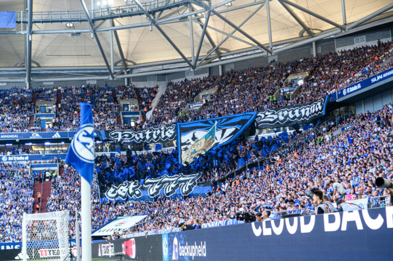 Schalke 04: Auch diese Vereine wollten El-Faouzi FC Schalke 04