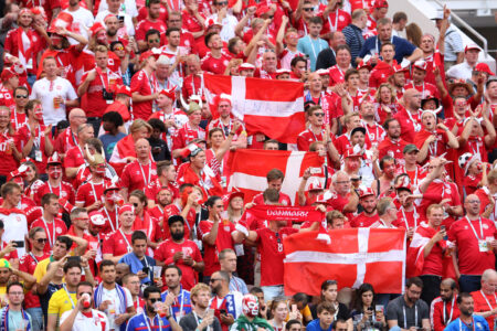 Dänemark Fans