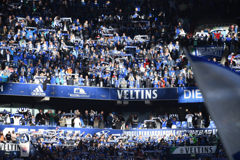 Fans vom FC Schalke