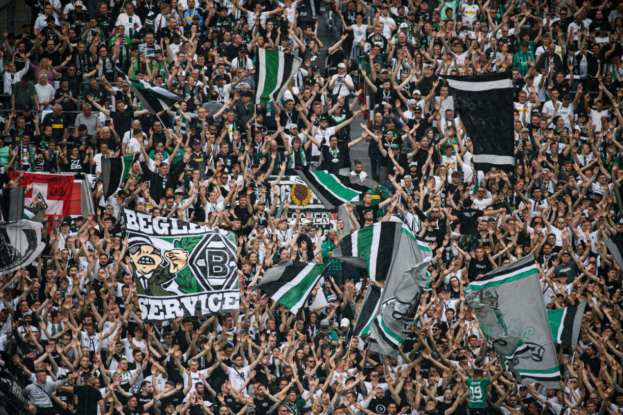Borussia Mönchengladbach: Stimmen und Reaktionen zum Sieg gegen FSV Mainz Gladbach - Fans